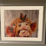 The Veterinary @ Village Kildare