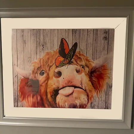 The Veterinary @ Village Kildare