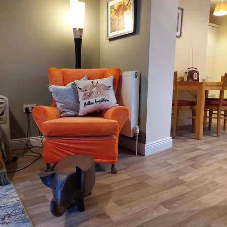 The Veterinary @ Village Kildare