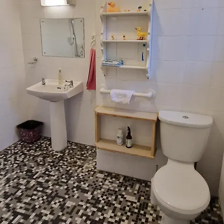 The Veterinary @ Village Kildare