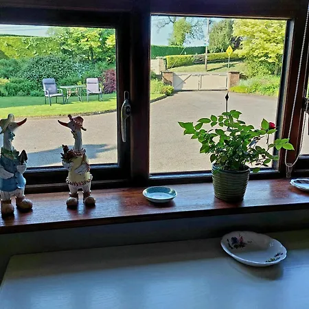 The Veterinary @ Village Apartment