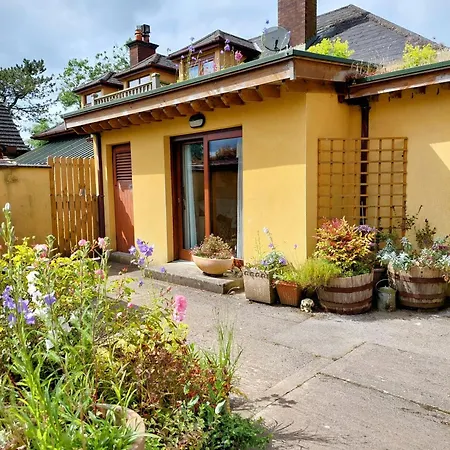 The Veterinary @ Village *