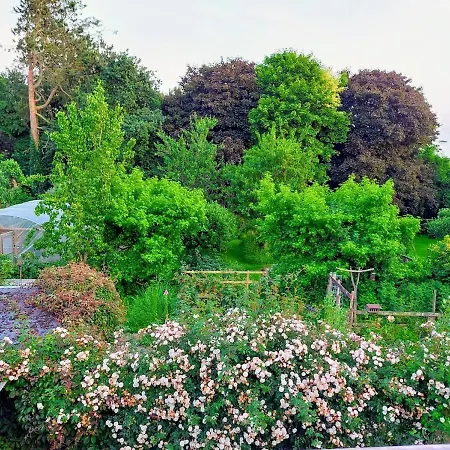 The Veterinary @ Village Apartment *