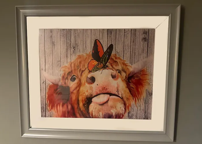 The Veterinary @ Village Kildare