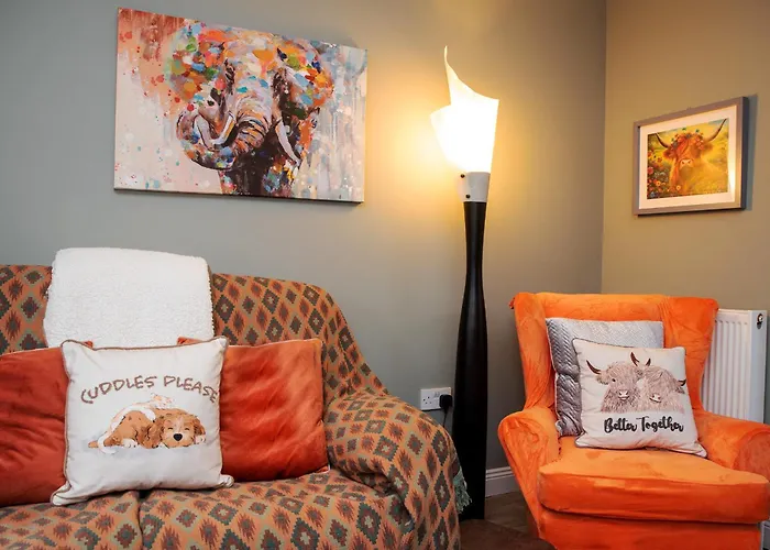 The Veterinary @ Village * Kildare