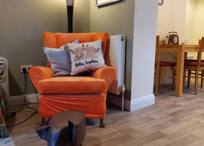 The Veterinary @ Village Kildare