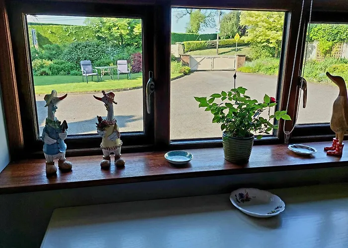 The Veterinary @ Village Apartment