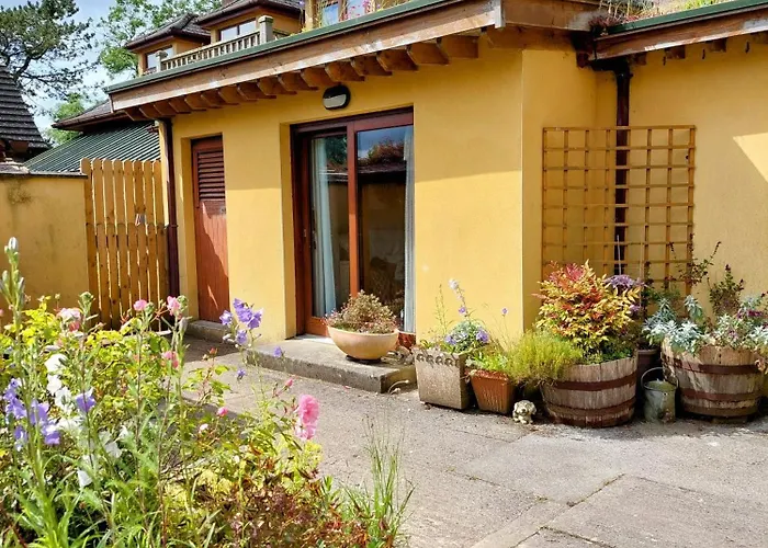 The Veterinary @ Village *