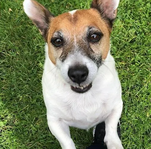 The Veterinary @ Village Apartment *