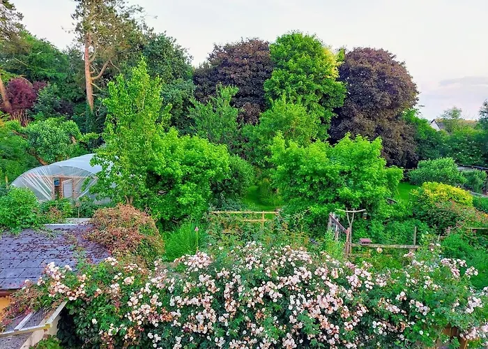 The Veterinary @ Village Apartment *